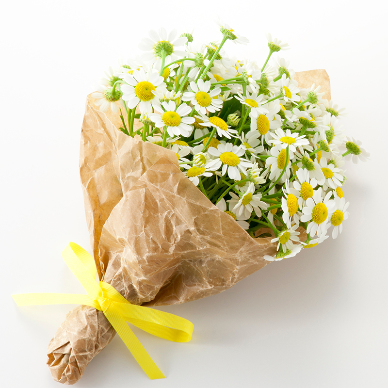white-daisy-bouquet