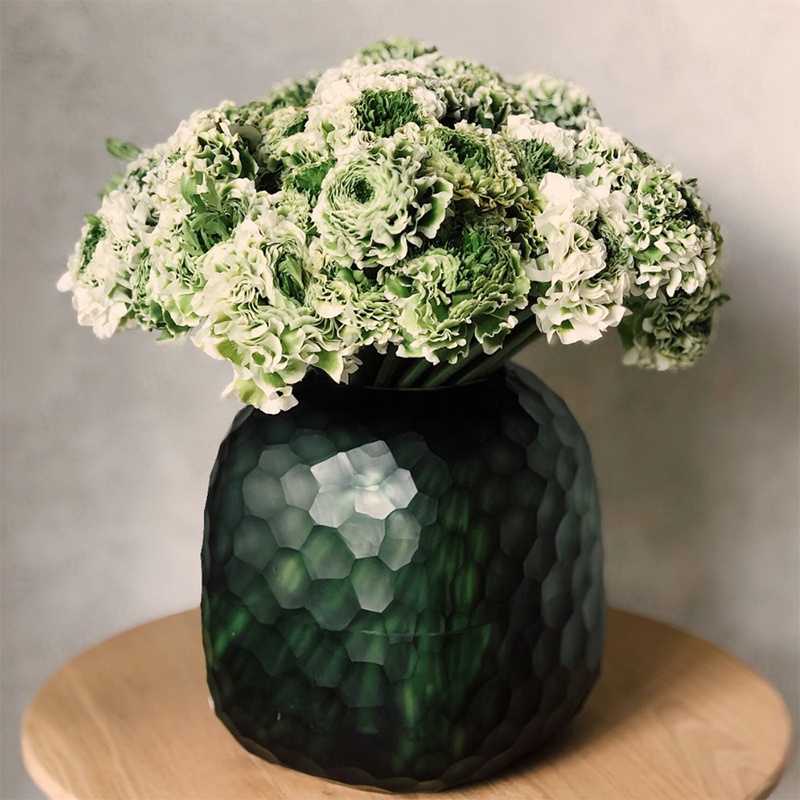 Green-Carnations