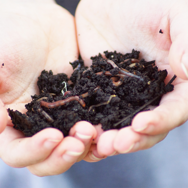 Hands-Holding-Worm-and-Soil