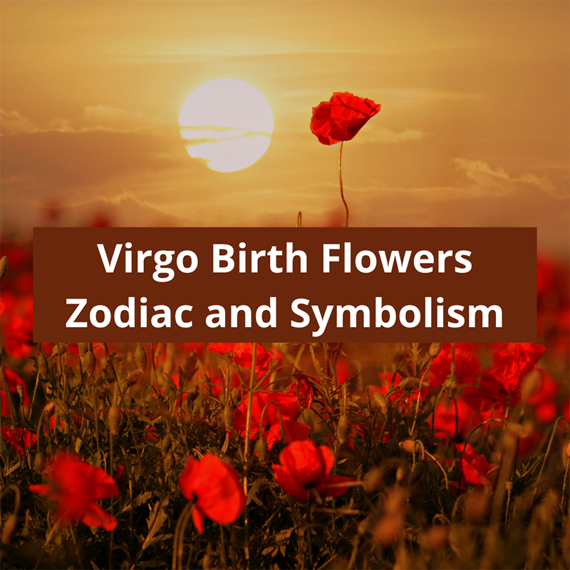 Virgo-Birth-Flowers-Zodiac-and-symbolism