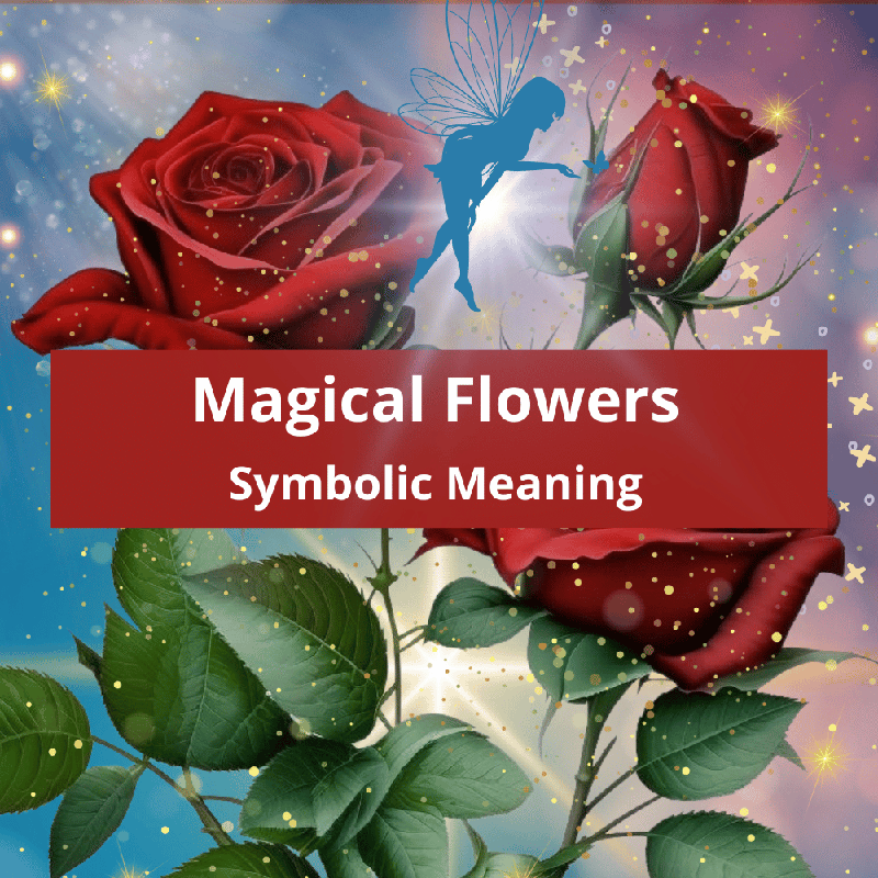 magical-flowers-symbolic-meaning
