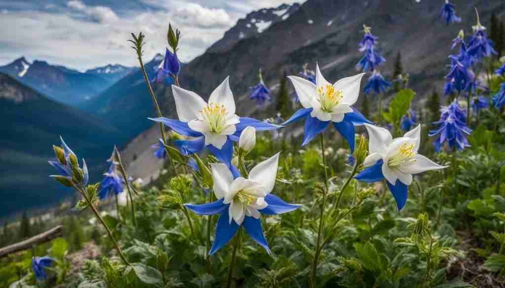 Columbine flower symbolism