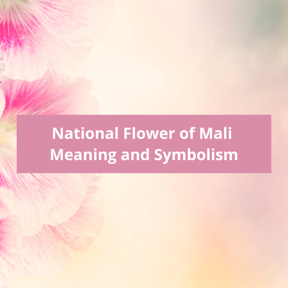What-is-the-national-flower-of-Mali-Meaning-and-Symbolism