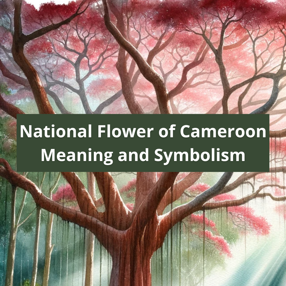 national-flower-of-Cameroon-Meaning-and-Symbolism