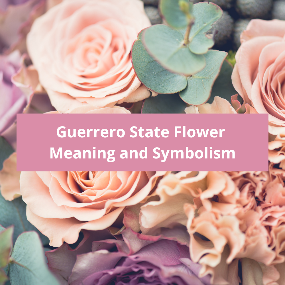 Guerrero-State-Flower-Meaning-and-Symbolism