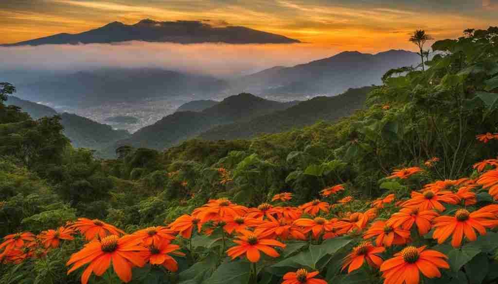 Guerrero flower symbolism