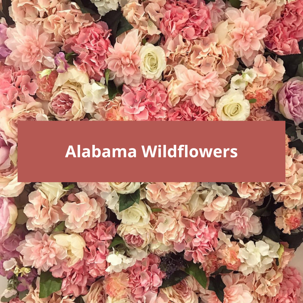 Alabama-Wildflowers