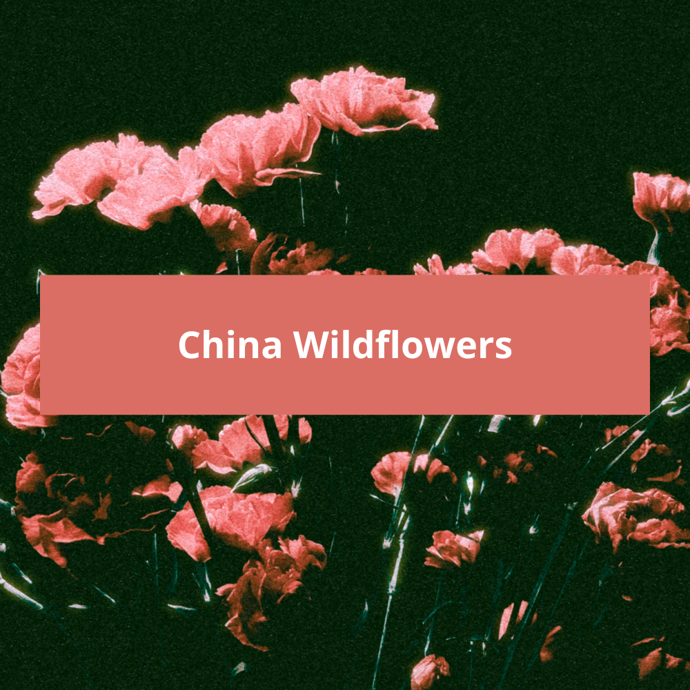 China-Wildflowers