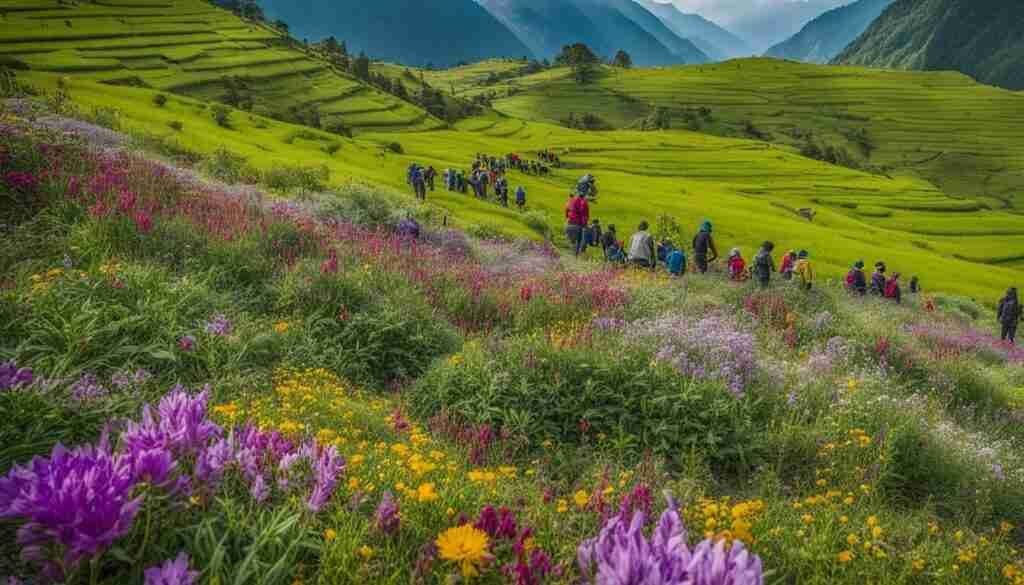 Conservation of Wildflowers Nepal