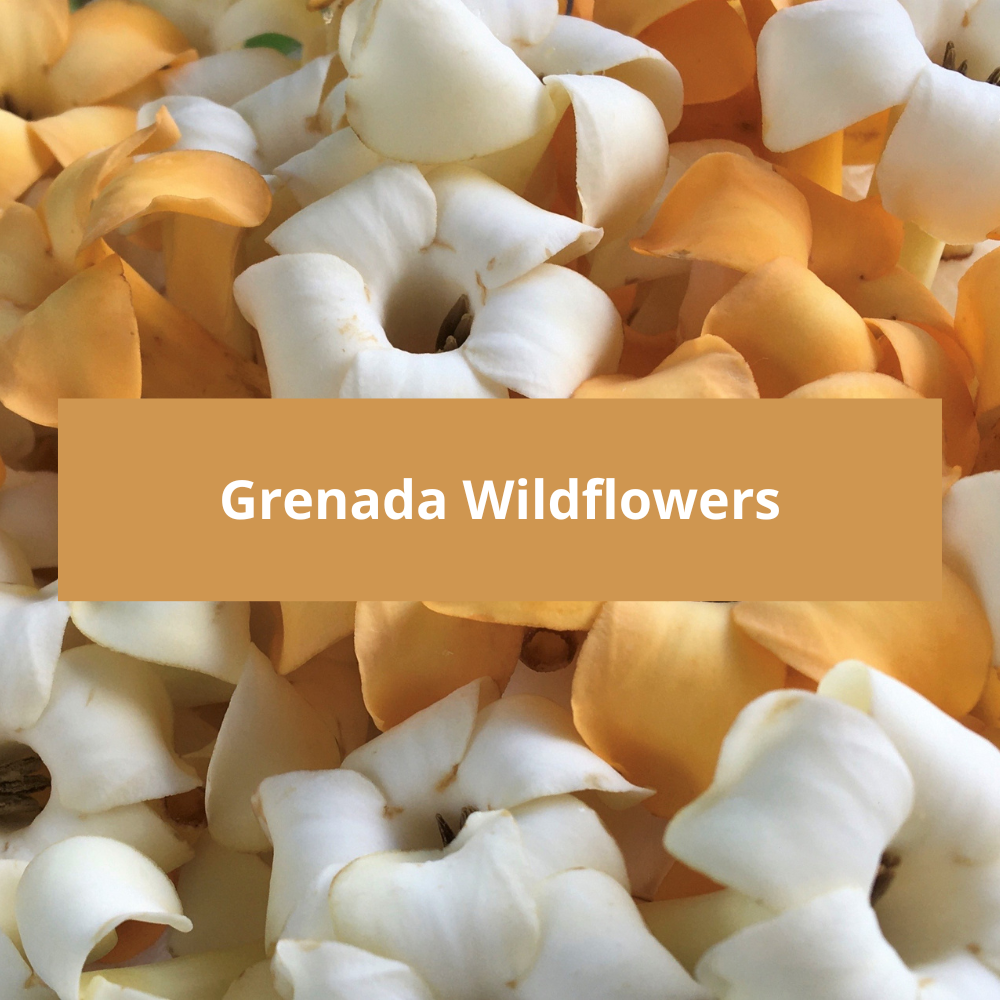 Grenada-Wildflowers
