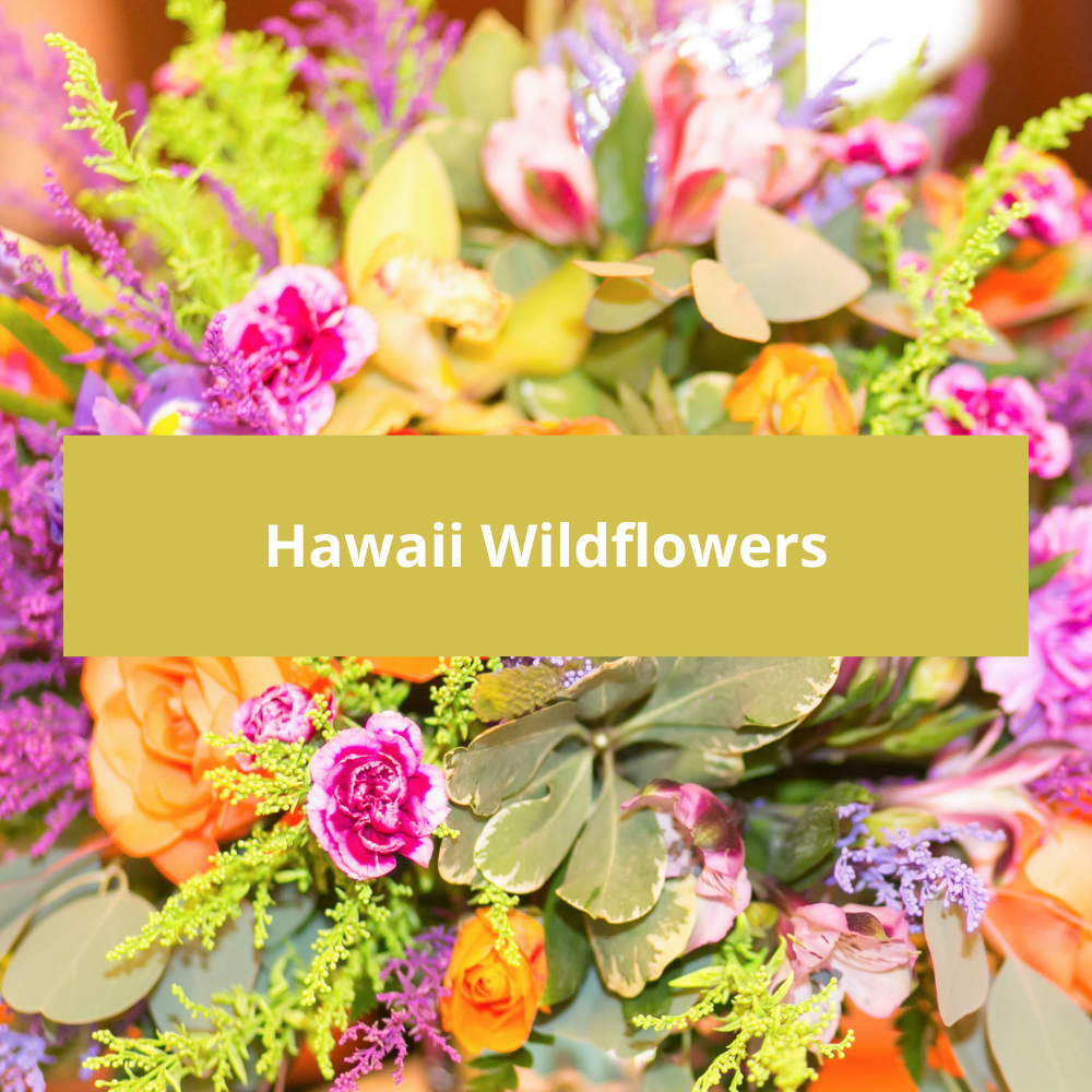 Hawaii-Wildflowers