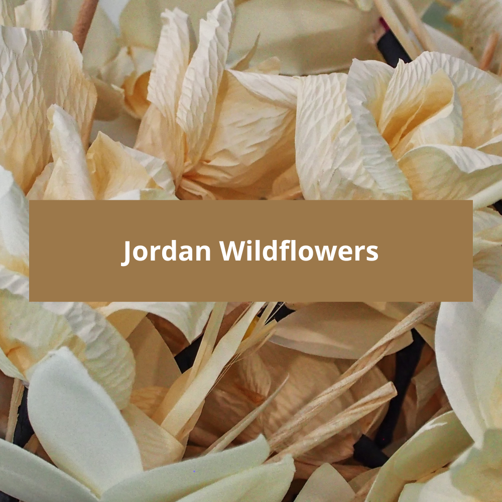 Jordan-Wildflowers