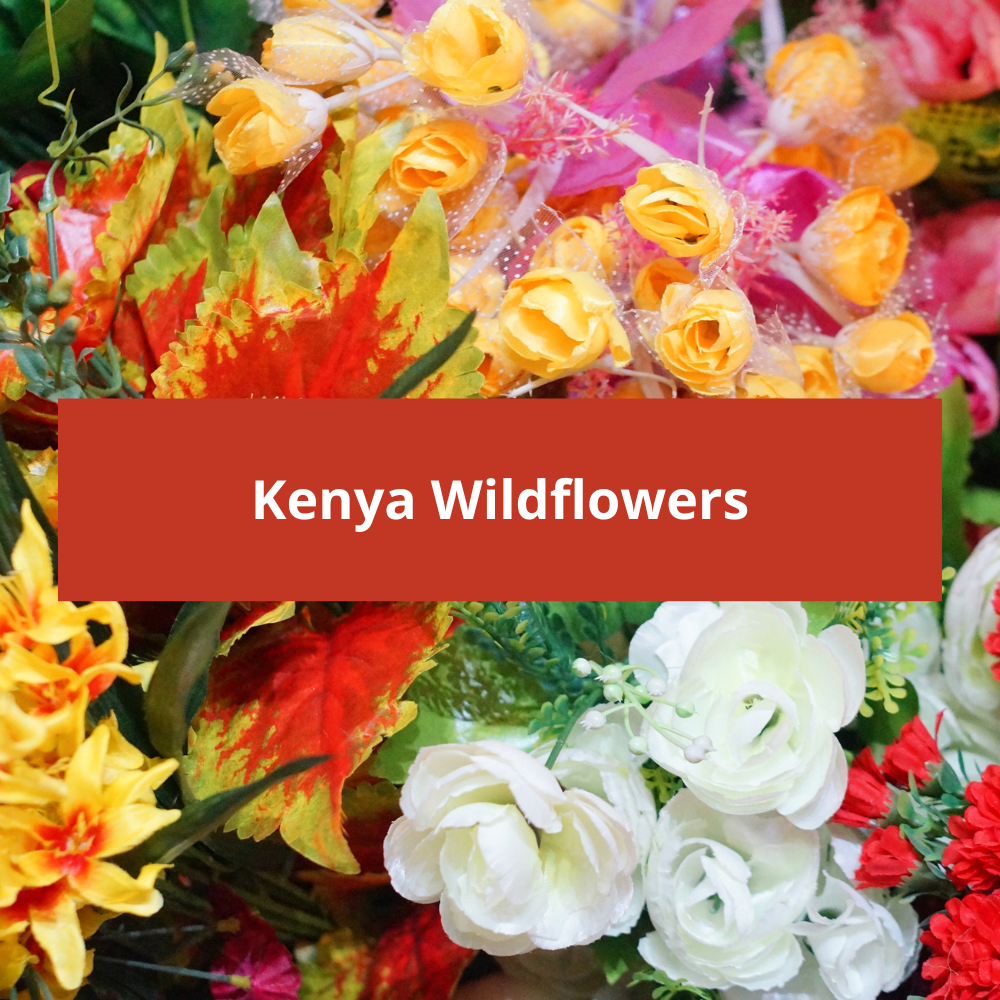 Kenya-Wildflowers
