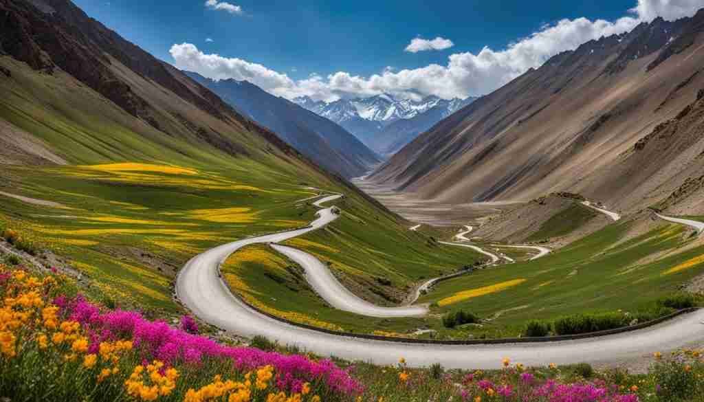 Ladakh Wildflowers Ladakh Wildflowers