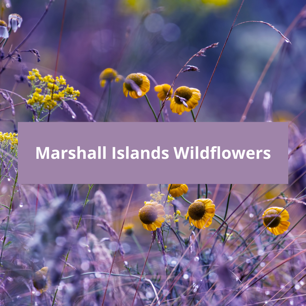 Marshall-Islands-Wildflowers