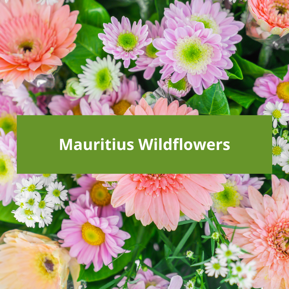 Mauritius-Wildflowers