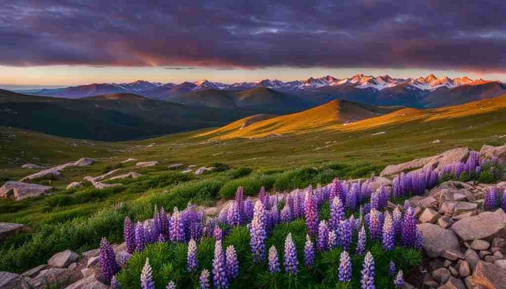 Mount Evans Scenic Byway