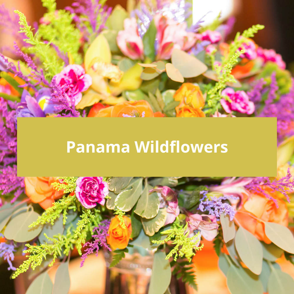 Panama-Wildflowers