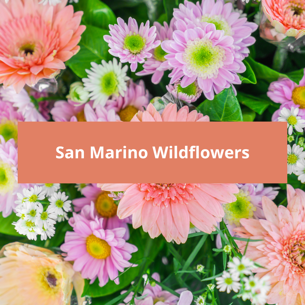 San-Marino-Wildflowers