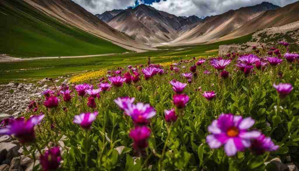 Stok Village's Floral Treasures Stok Village's Floral Treasures