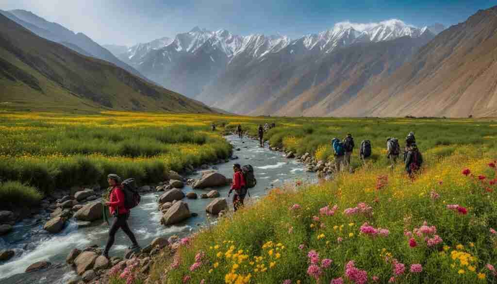 Sustainable tourism in Iran's wildflower regions