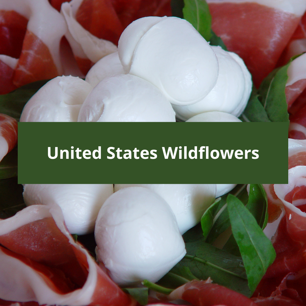 United-States-Wildflowers