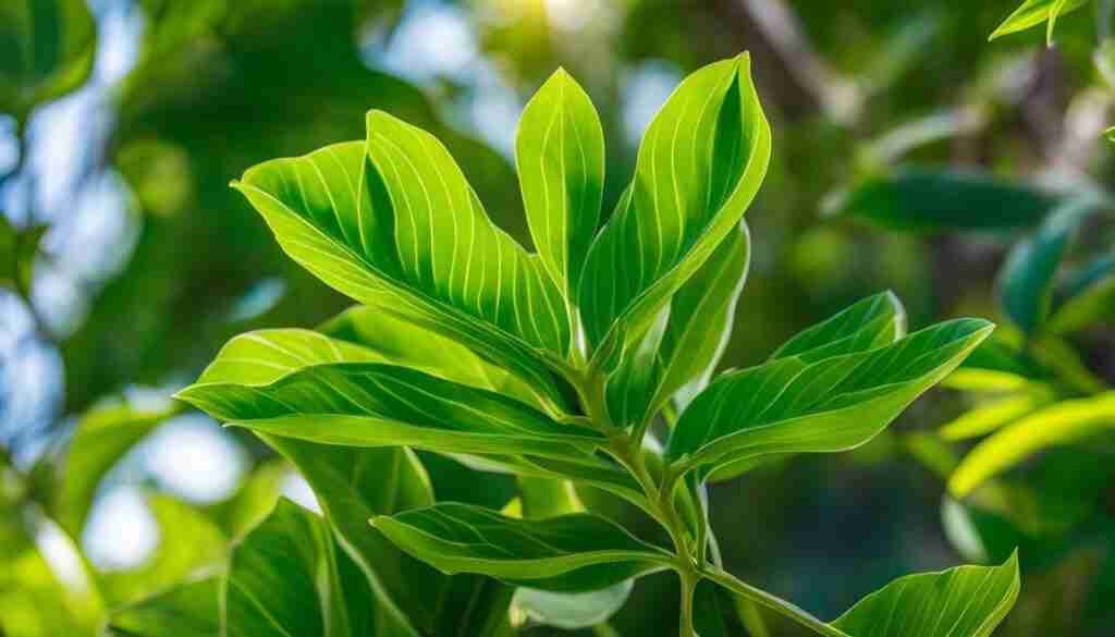 rare native plants Bahamas