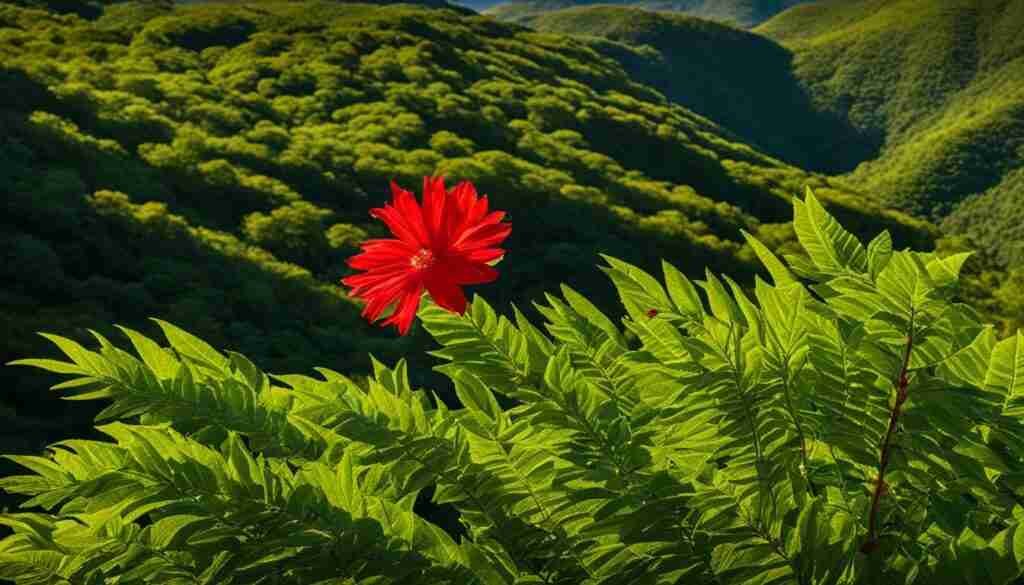 Argentina flora Argentina flora