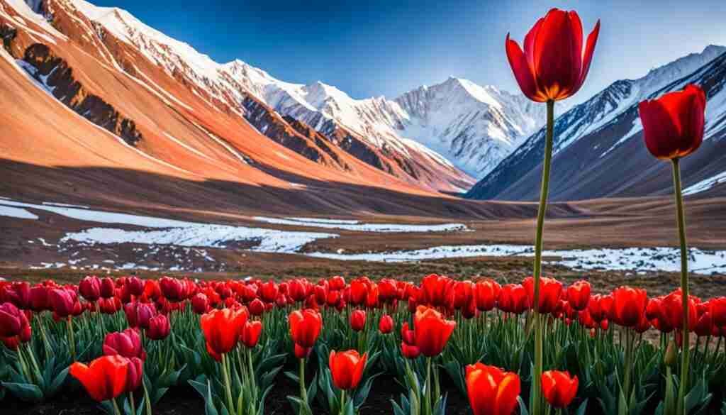 Different Shades of Red Floral Blooms