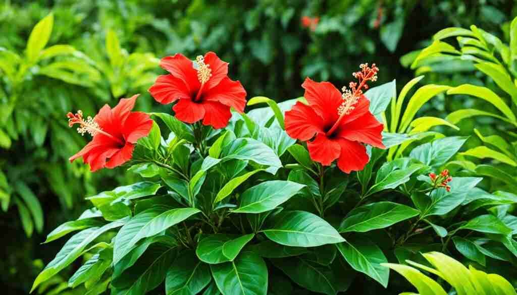 Popular Red Flowers in Ghana