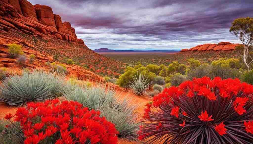 Red Flower Types in Australia