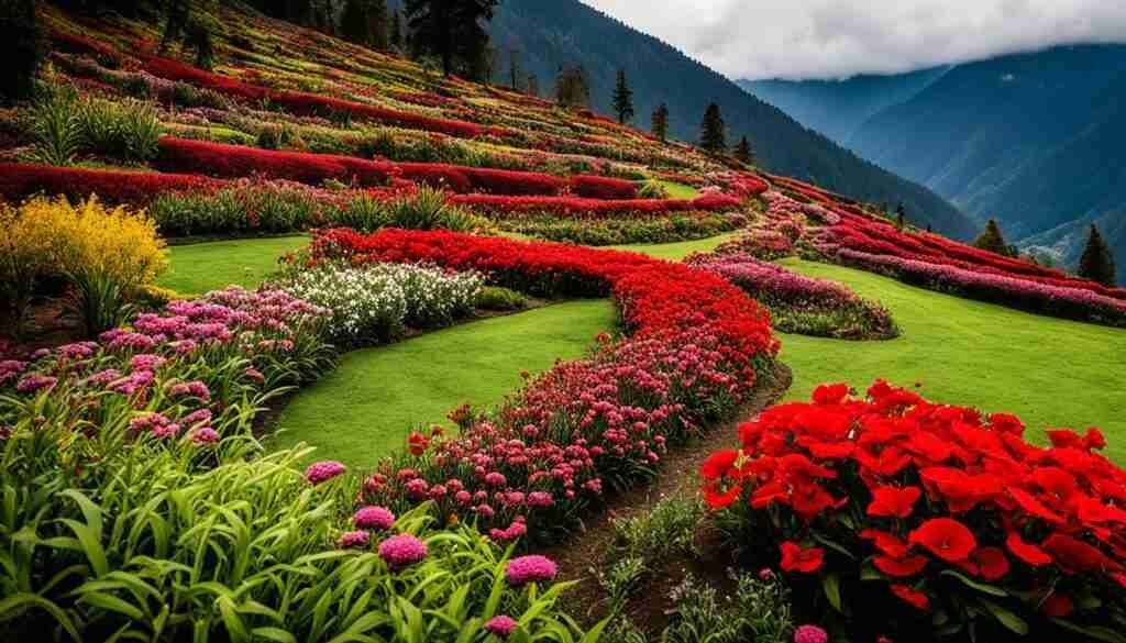 Red Flower Varieties in Bhutan