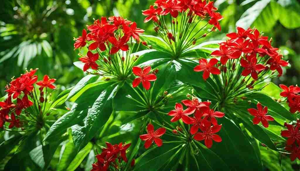 Red Flowers in Culture Red Flowers in Culture