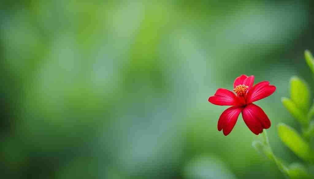 Red Flowers in Culture