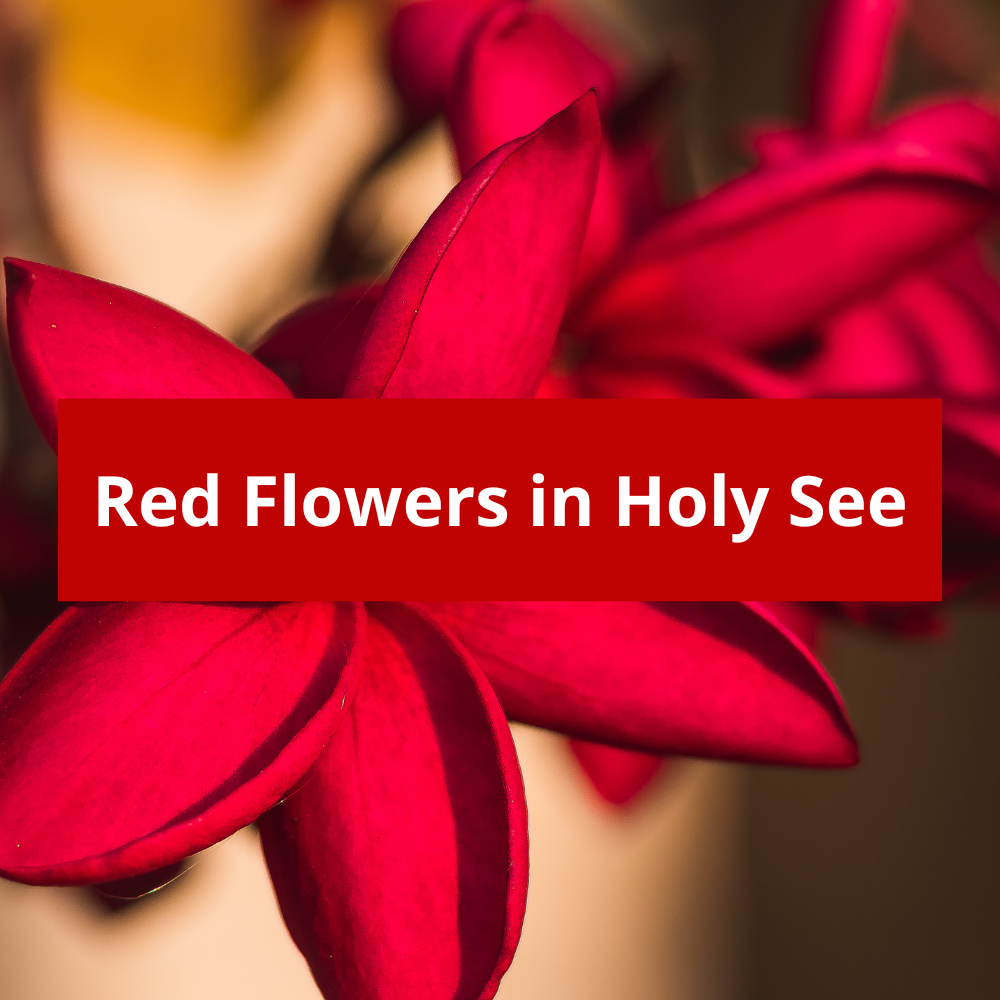 Red-Flowers-in-Holy-See