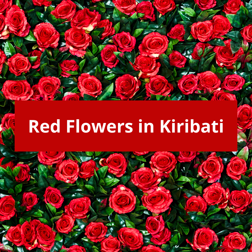 Red-Flowers-in-Kiribati