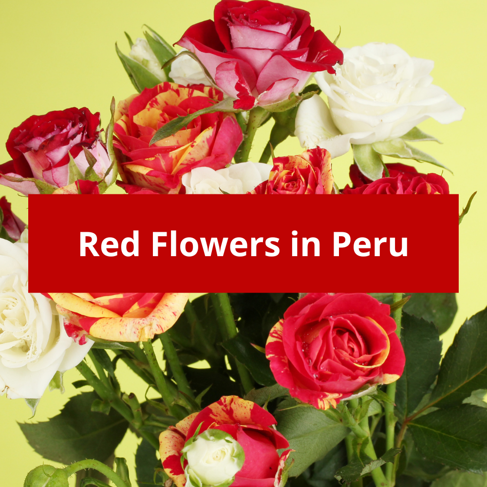 Red-Flowers-in-Peru