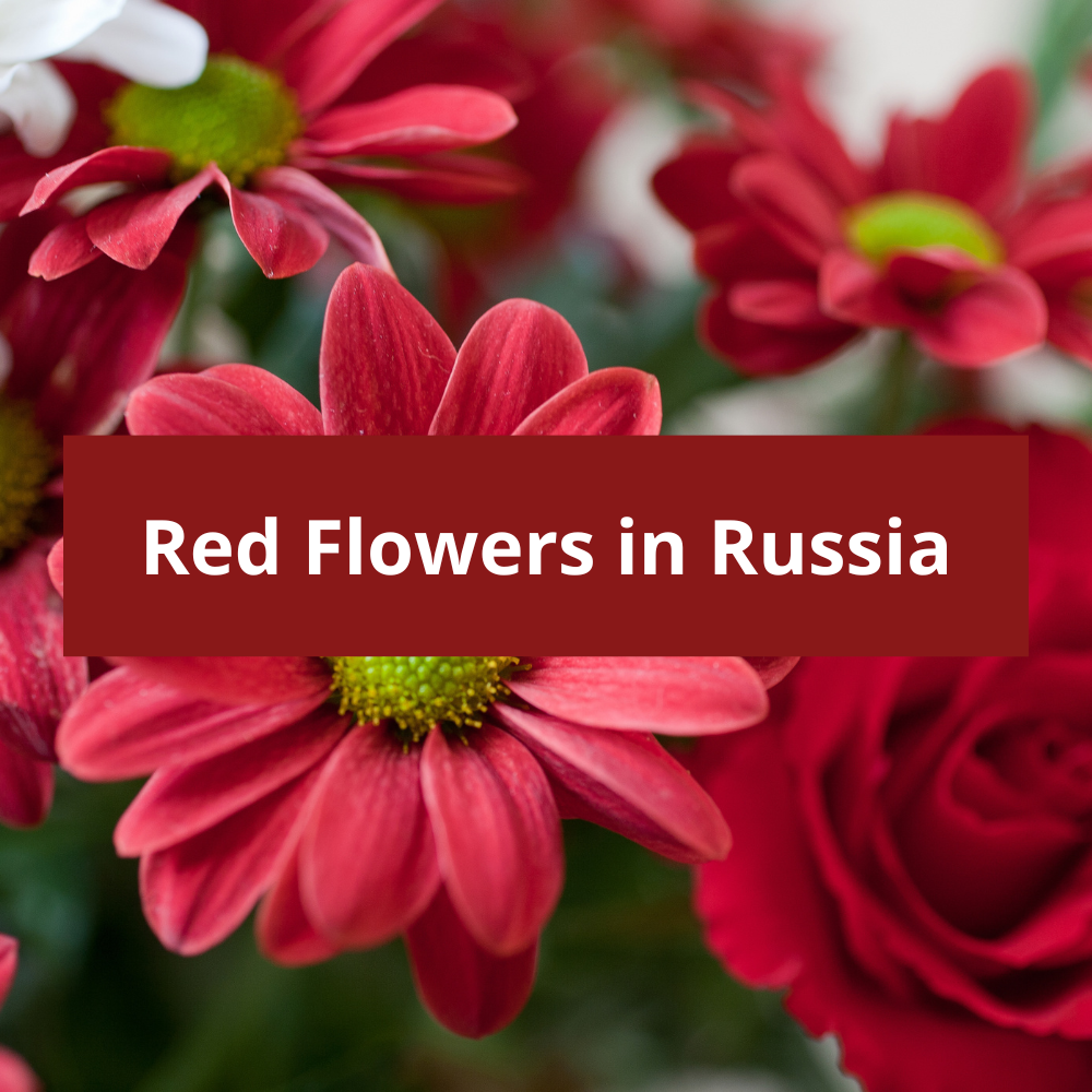 Red-Flowers-in-Russia