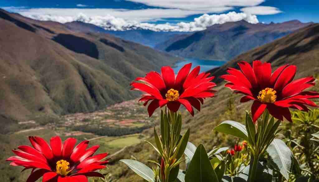 Red flower in Bolivian culture