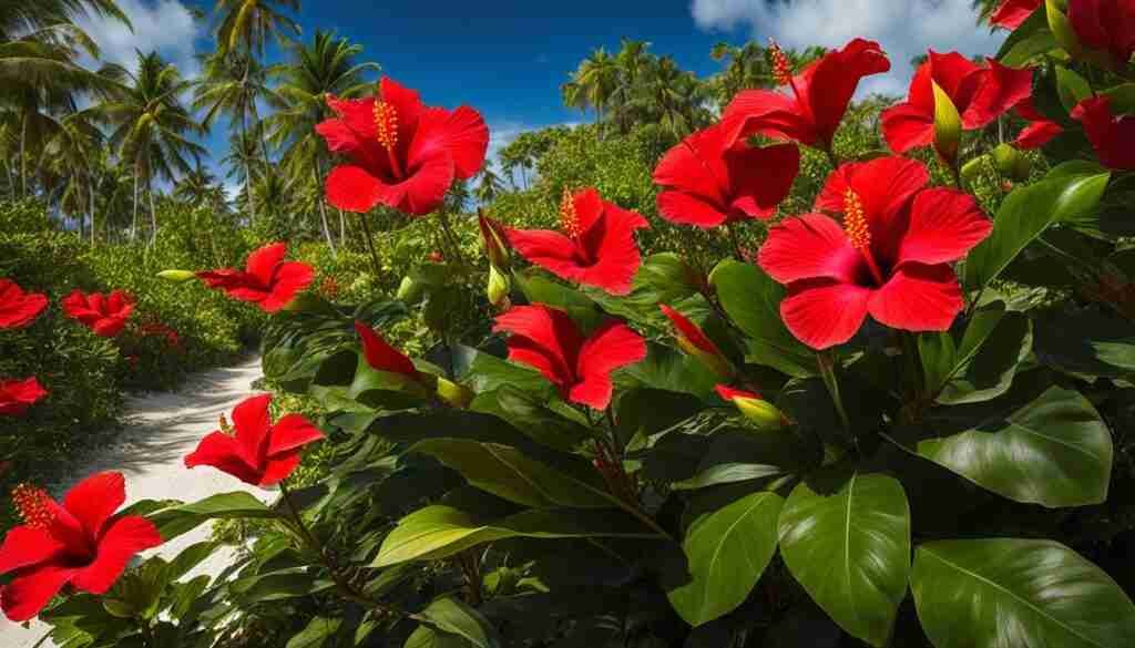 exotic red flowers