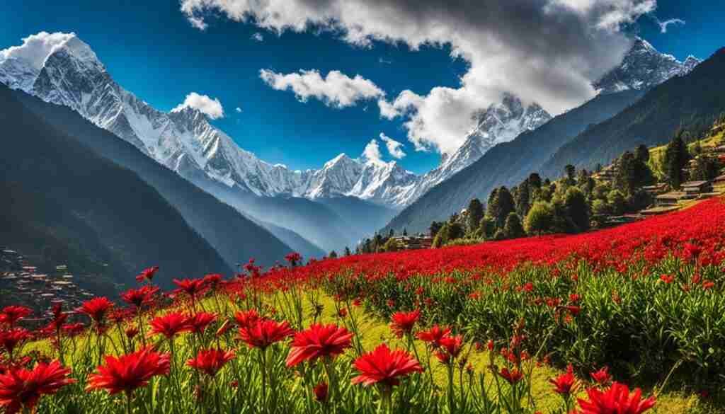 Blooming Red Flowers in Nepal