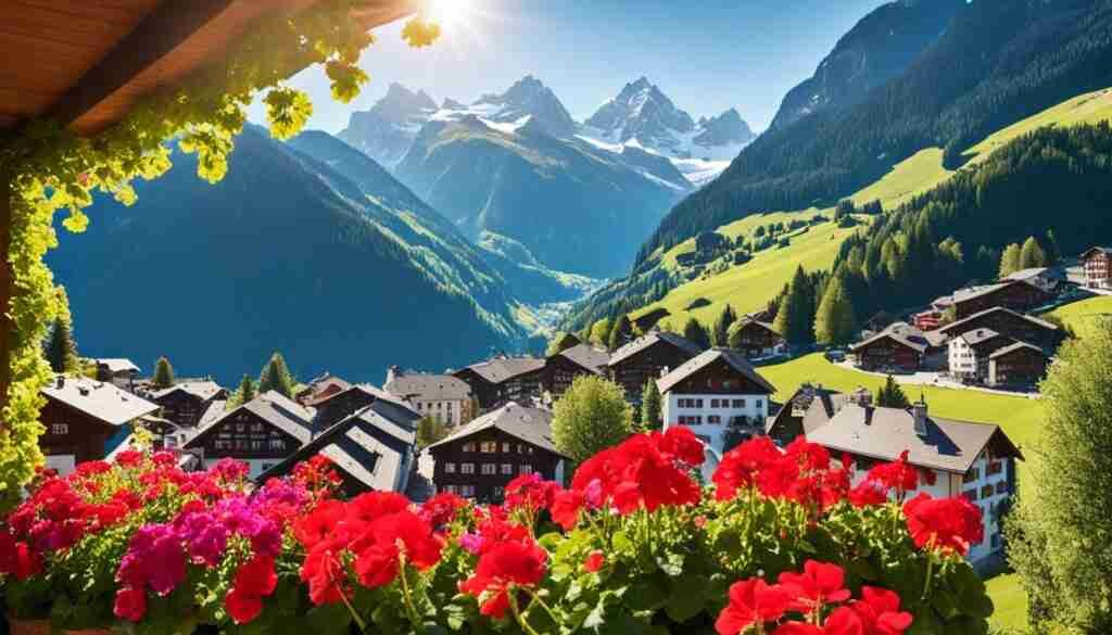 Grimentz Geraniums Grimentz Geraniums