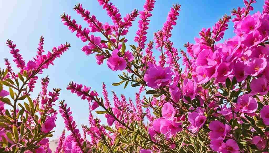 Pink Flower Varieties