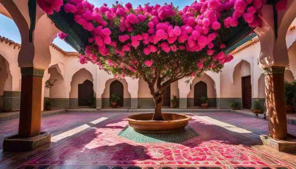 Pink flowers in Moroccan culture