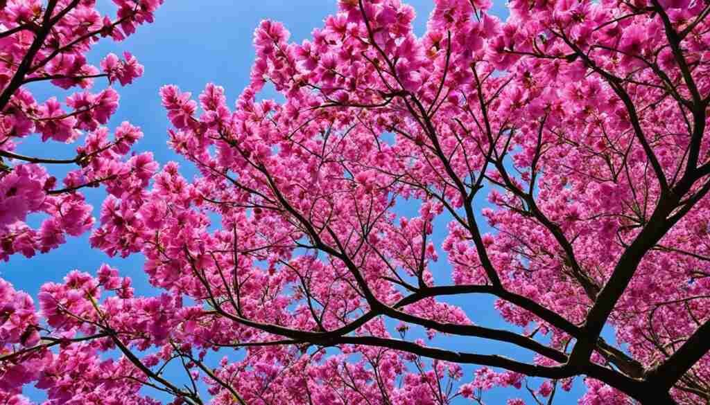 Popular Pink Flowers