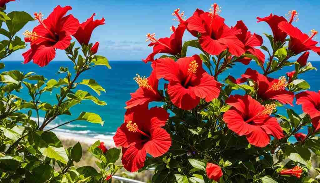 Popular Red Flowers in Florida Popular Red Flowers in Florida