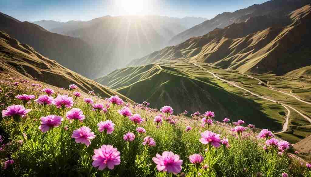 Popular pink Flowers Popular pink Flowers