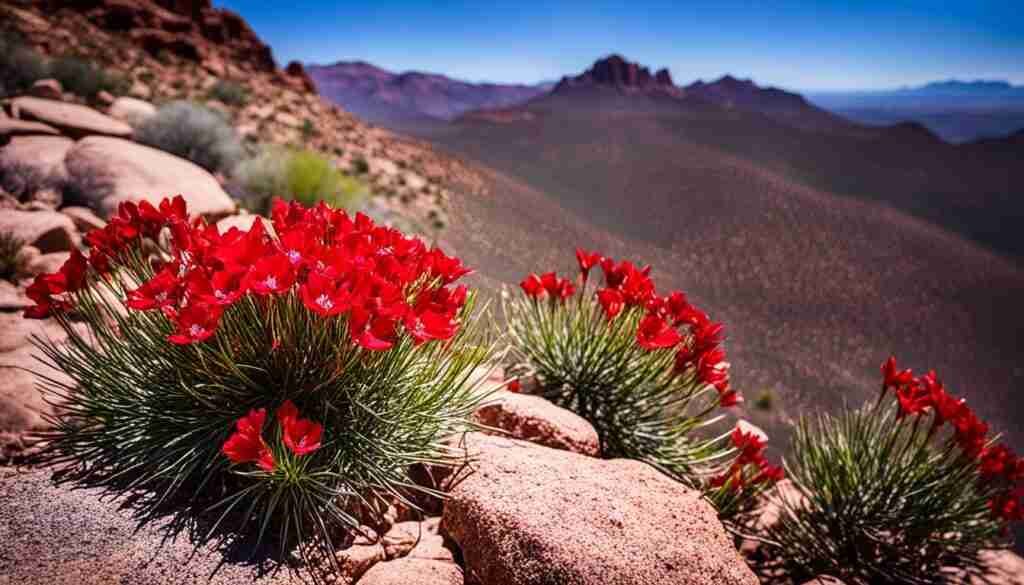Popular red flowers in Arizona