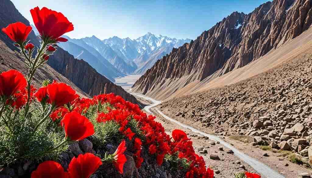 Red Flower Types Red Flower Types