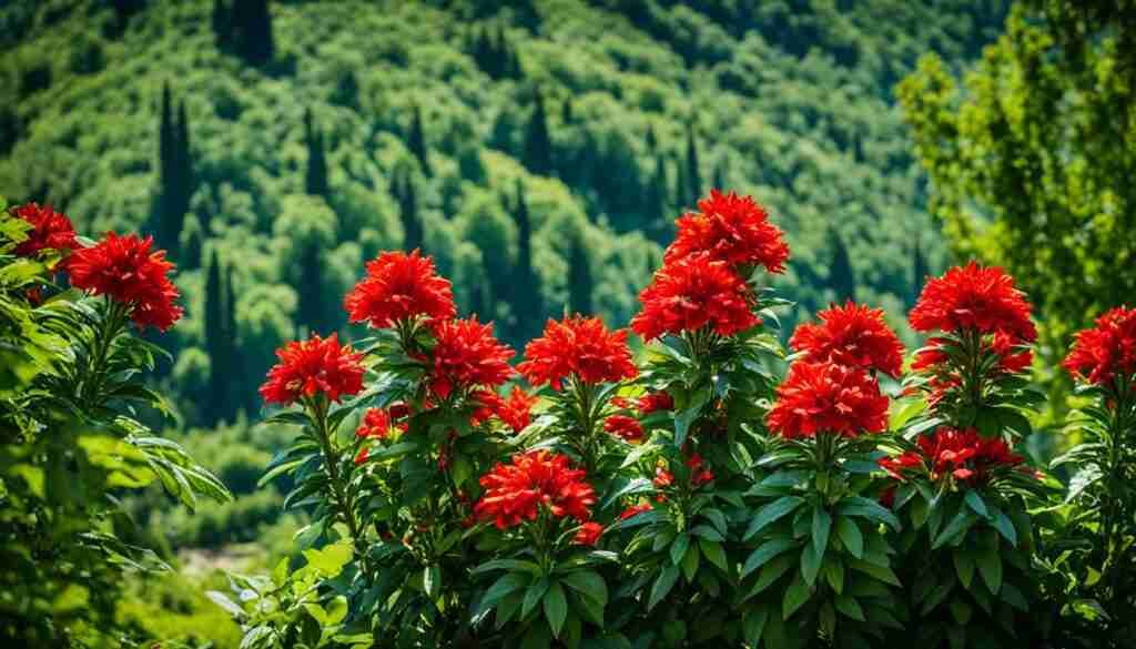 Red Flowers Red Flowers